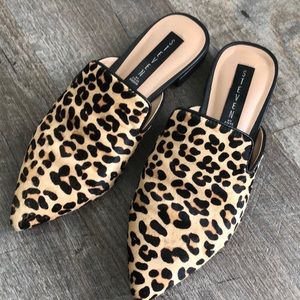 Steve Madden leopard slides